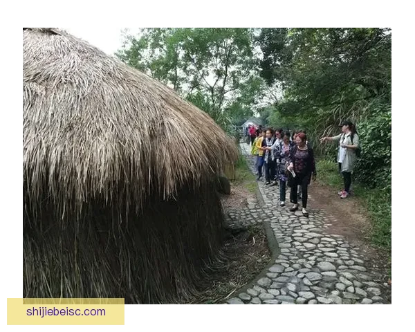 沃梅特沙森2至5维哥萨克地区的历史演变与文化影响研究